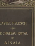 O imagine rară, din 1882, a castelului Peleș aflat încă în construcție, publicată de Arhivele Naționale ale României jpeg