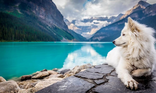 3 jf brou 915ujqaxtrk unsplash jpg jpeg