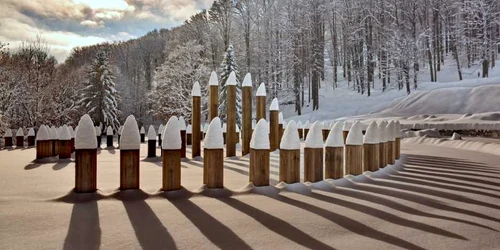 foro administratia sarmizegetusa regia