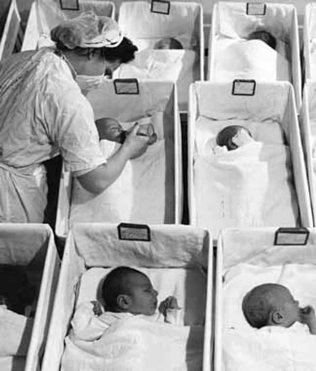 demografie suprapopulare