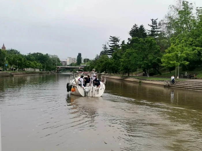 Vulpea pe Bega FOTO Ștefan Both