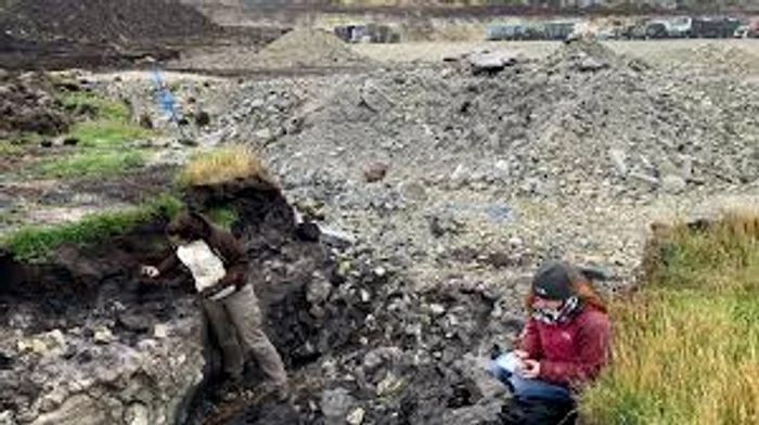 Cercetătorii au găsit pădurea la șase metri sub pământ