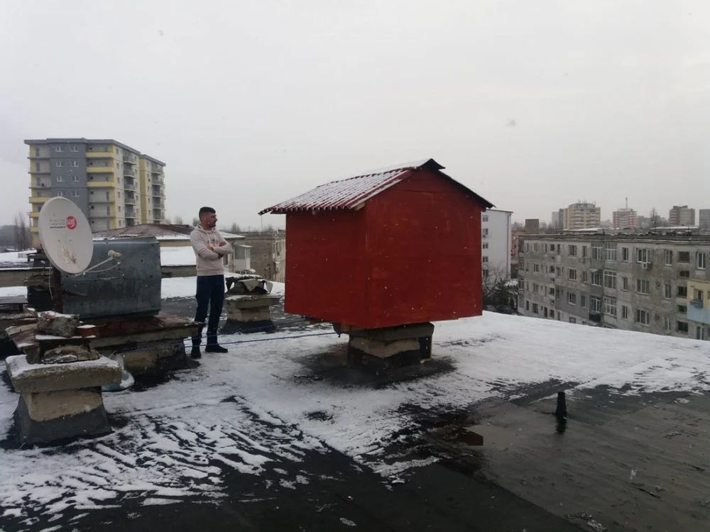 În căsuţa de pe bloc, bărbatul creştea 12 porumbei FOTO/ Ana Popescu