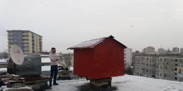 volieră