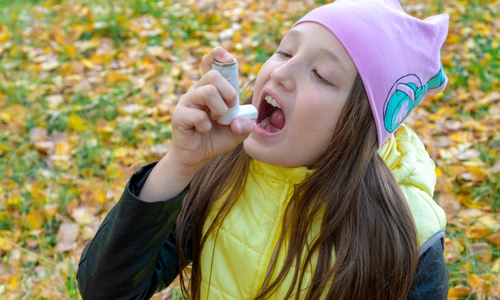 2 shutterstock 1505682968 jpg jpeg