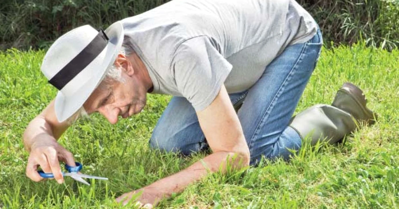 În forma sa extremă, perfecţionismul poate fi considerat o afecţiune asemănătoare cu comportamentul compulsiv-obsesiv
