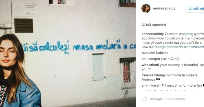 andreea diaconu instagram