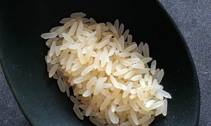 moritz320 rice 2294365 (1) jpg
