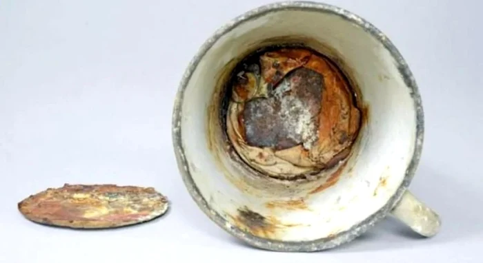 Descoperire remarcabilă a fost realizată de curatorii muzeului / foto: Historia