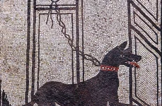 nescot dog burials 1 webp