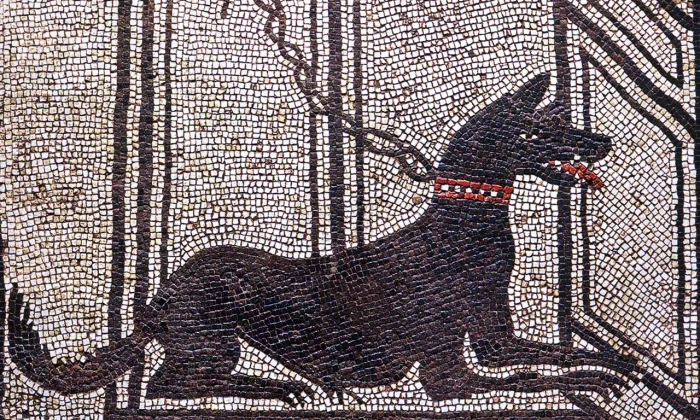 nescot dog burials 1 webp