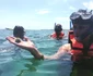 12038382 1025488344169112 7468687441370945621 n jpeg