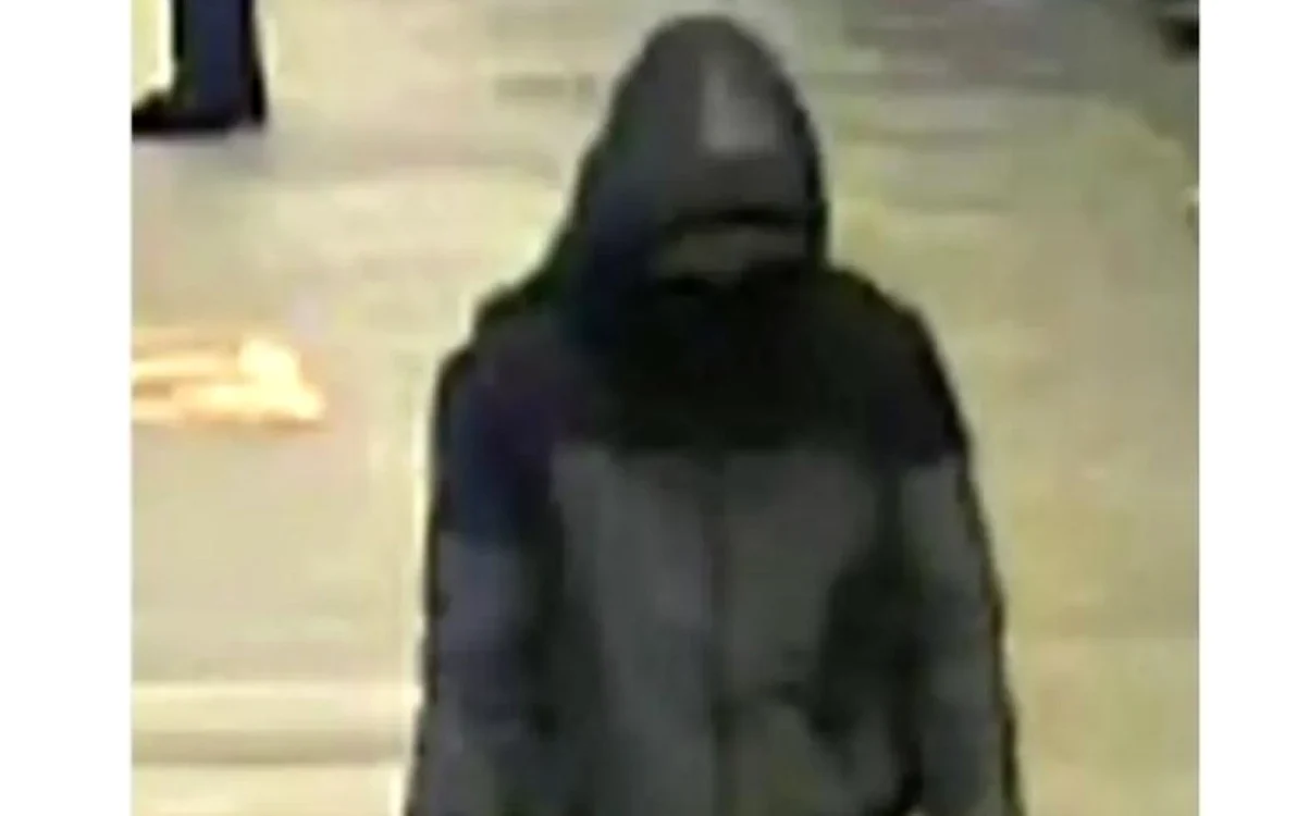 Unul dintre suspecţi, surprins  de camerele de supraveghere. FOTO: Norvegian Police
