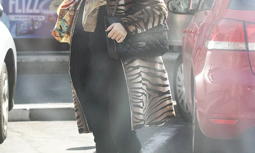 oana mizil gravida vanghelie shopping blitz jpeg