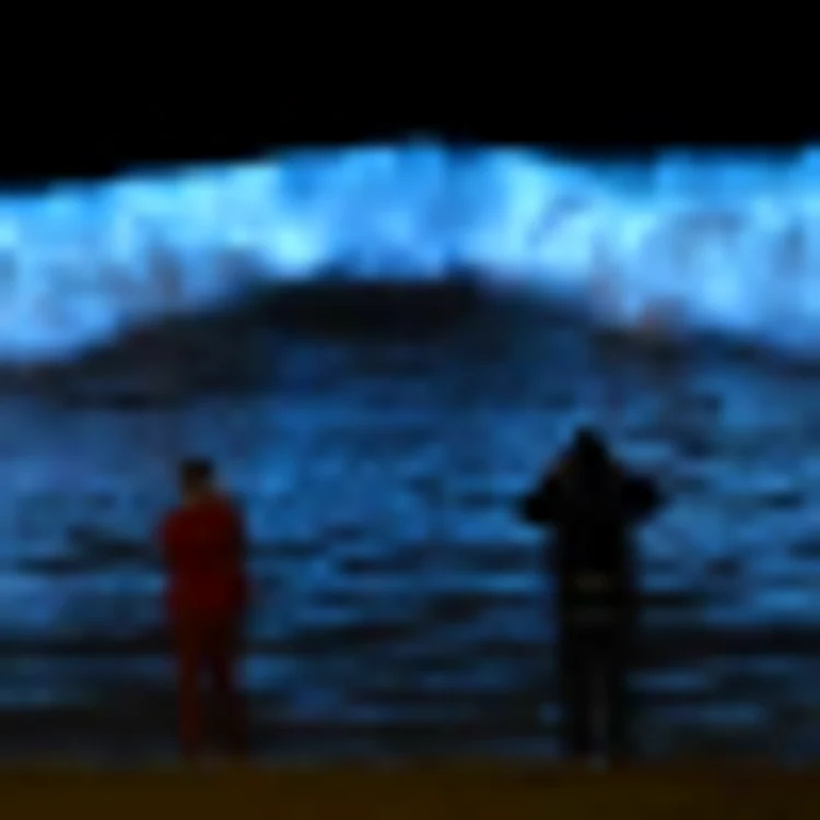 Valurile bioluminescente in sudul Californiei FOTO Twitter