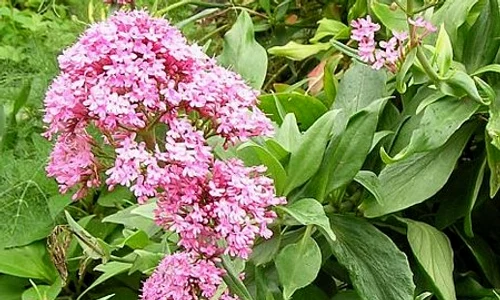 CLIIMA20140523 0118 1 jpeg