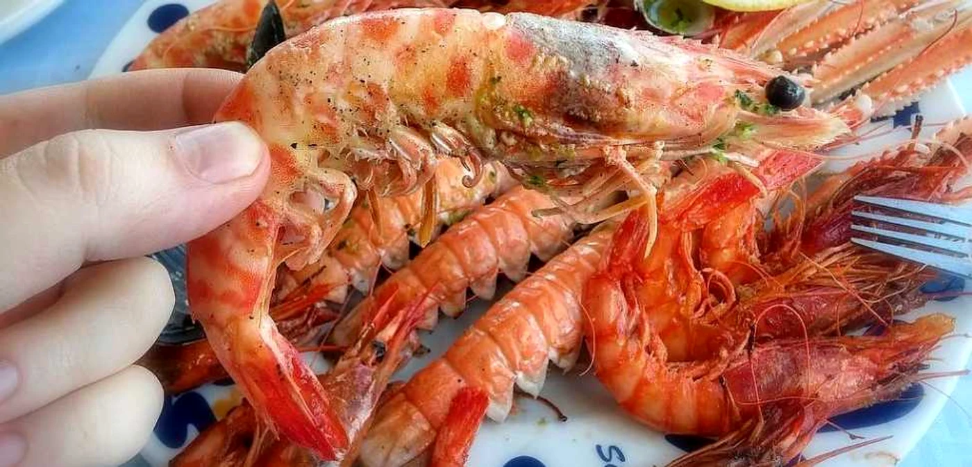 Fructele de mare