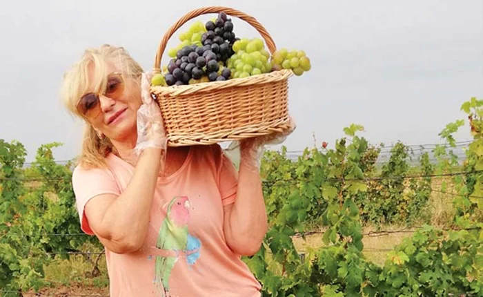 Lia Lungu se mândrește cu strugurii ei din Recaș