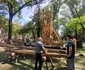 Scheletul bisericii de la Povergina a ajuns la Timișoara FOTO Ștefan Both