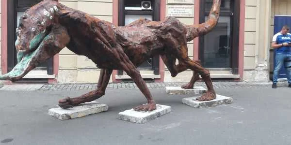 Baraka