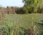 DSC06739 0 JPG