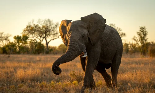 e143fb6ec49a23b6d55040759c222f6ffa jpg