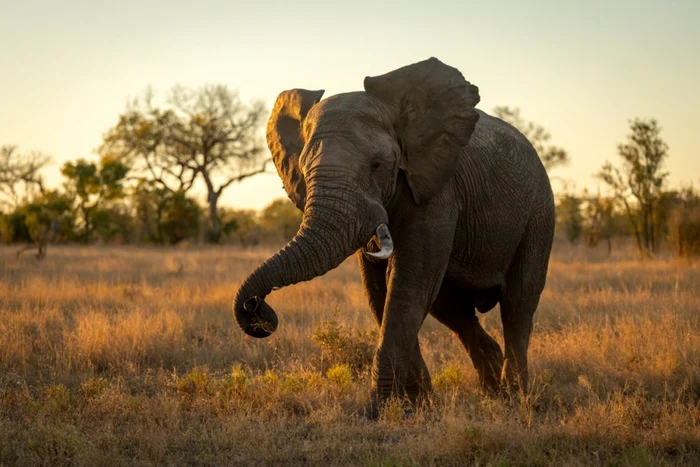 e143fb6ec49a23b6d55040759c222f6ffa jpg