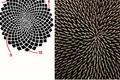 540409053 1304543354376261 5589417855722424663 n jpg