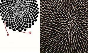 540409053 1304543354376261 5589417855722424663 n jpg