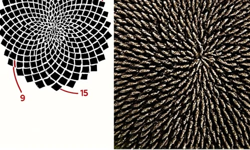 540409053 1304543354376261 5589417855722424663 n jpg