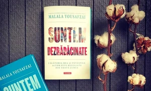 Despre strămutare, refugiați și adaptarea la o nouă viață jpeg