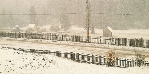 Zăpada a pus stăpânire pe judeţul Suceava