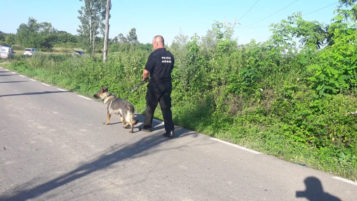 Forţele de ordine îl caută pe bucătarul criminal de la Făget FOTO Ş.Both