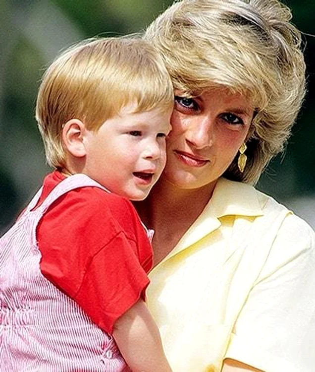 2 secretul printesei diana jpg jpeg