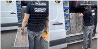 porumbei furati din belgia