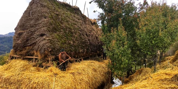 sura claca apuseni