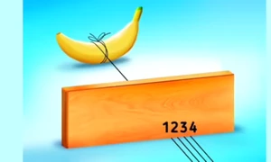 121439322 jpg