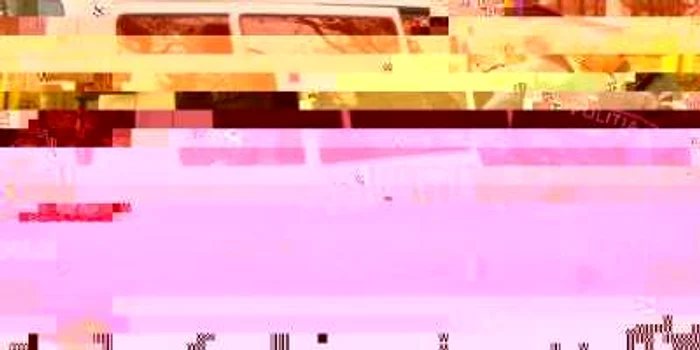 Suspecţii au fost reţinuţi