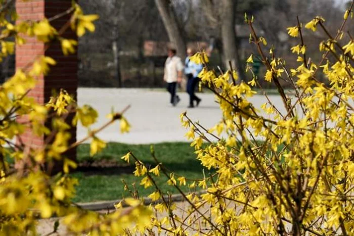Prognoza meteo 21 aprilie - vremea se menţine rece în toată ţara