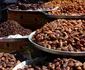 DSC 0011 JPG