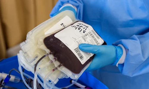 blood 4951009 1280 jpg