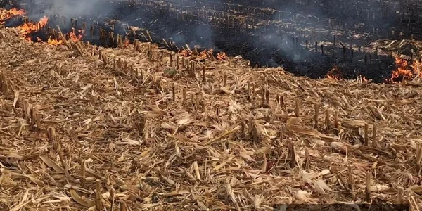 slobozia incendiu de vegetatie foto isu ialomita