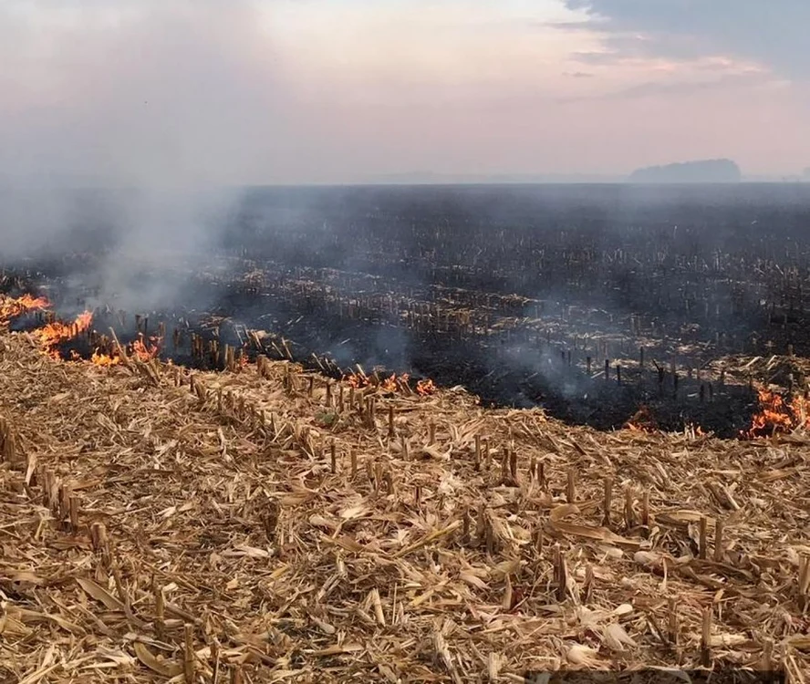 Focul a pârjolit 100 de hectare de vegetaţie uscată FOTO ISU ialomiţa