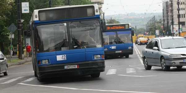 maz