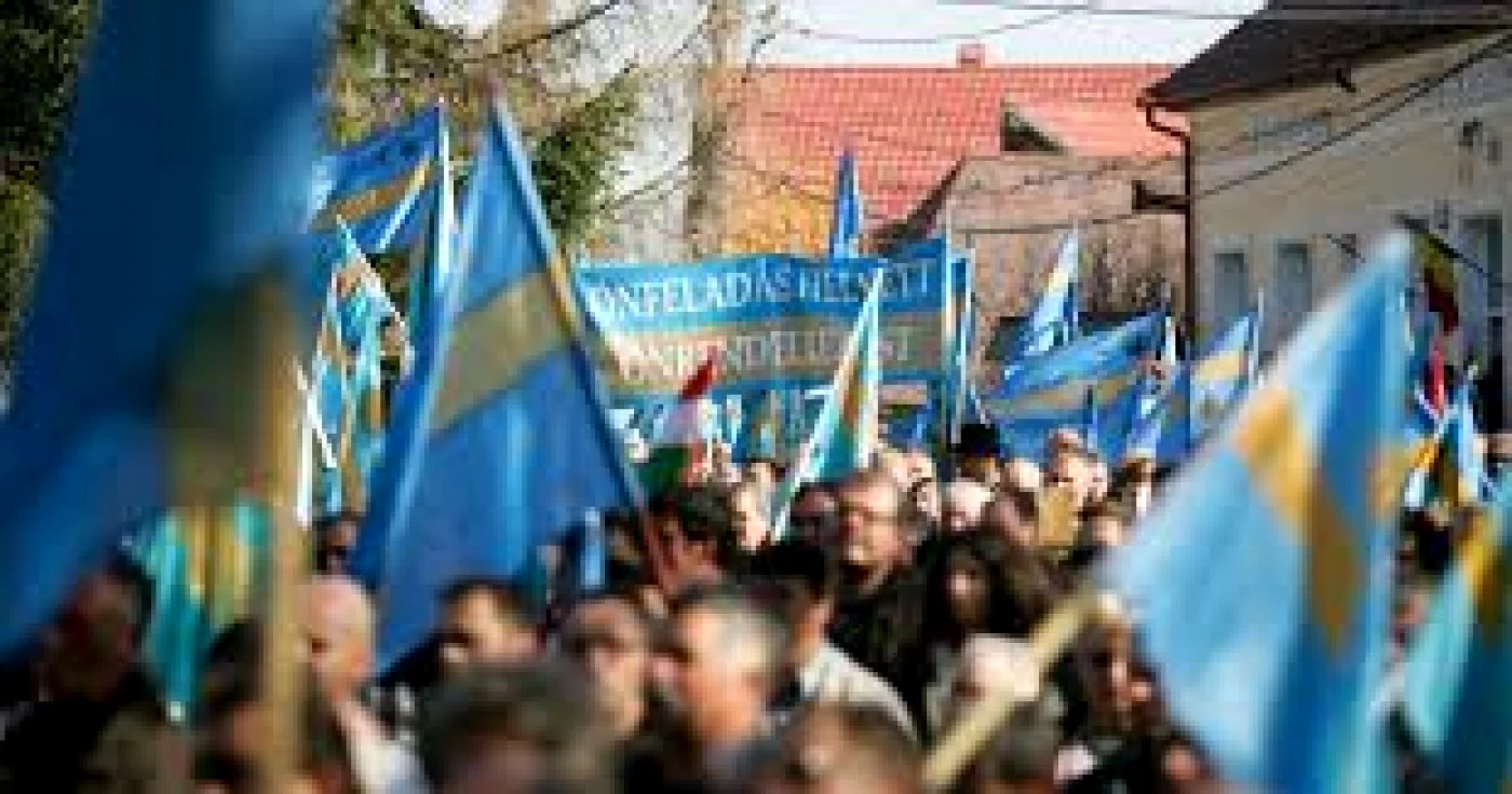 Steagul secuiesc nu poate fi drapel oficial la Sfântu Gheorghe FOTO Adevărul