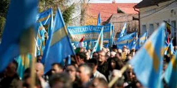 Steaul secuiesc nu poate fi drapel oficial la Sfântu Gheorghe FOTO Adevărul