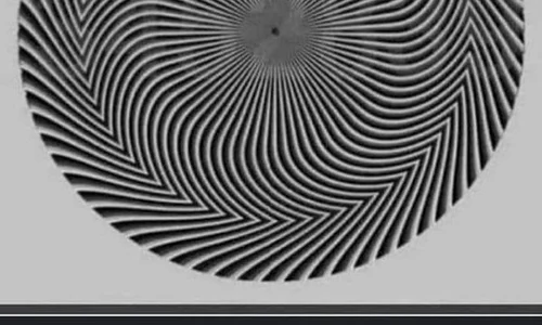 article 327975 image 2 jpeg