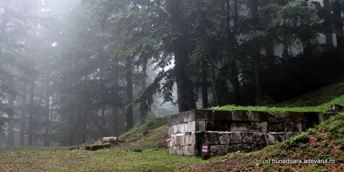 padure sarmizegetusa regia