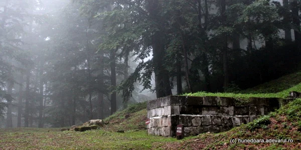 padure sarmizegetusa regia