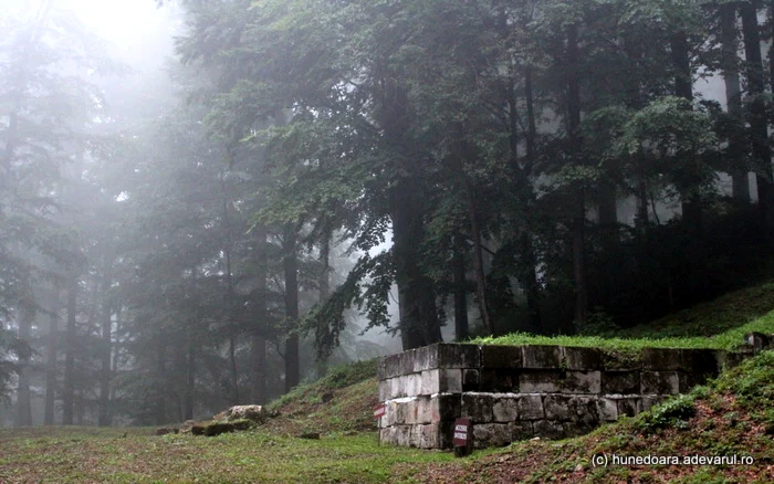 Sarmizegetusa Regia este înconjurată de pădure. FOTO: Daniel Guţă. ADEVĂRUL.